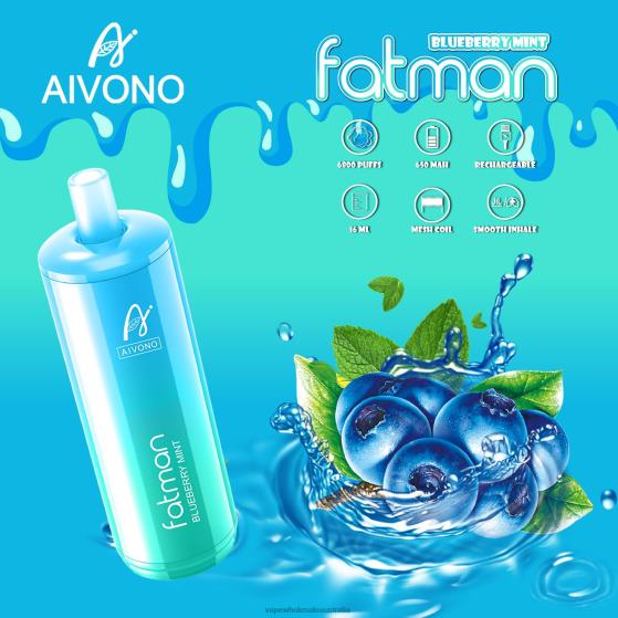 Vape Wholesale Sydney - Aivono FATMAN 6800 Blueberry Mint D24H022