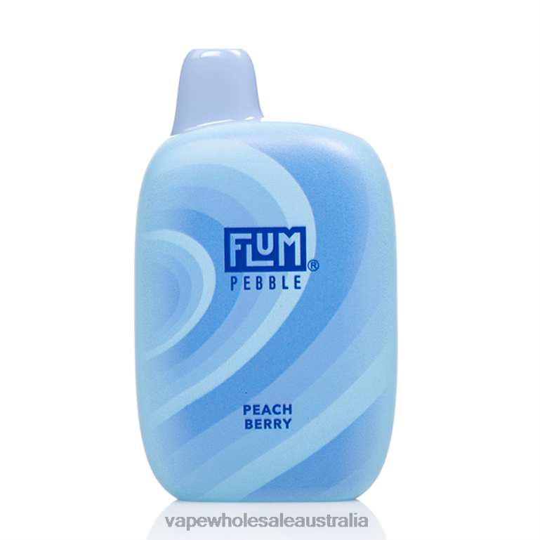 Vaping Supplies Online - FLUM PEBBLES 6000 PUFFS Peach Berry R2H8V37