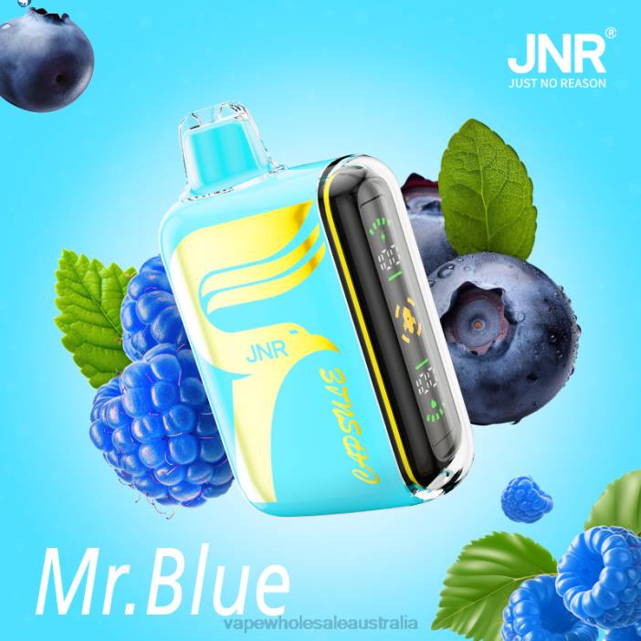 Mr.Blue - vape wholesale supplier 4DF0R606 JNR CAPSULE