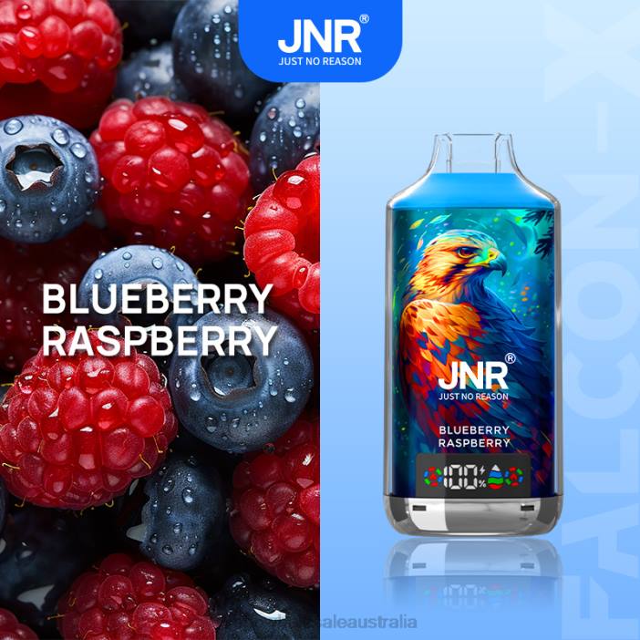 Blueberry Raspberry - vape wholesale Australia 4DF0R544 JNR FALCON-X