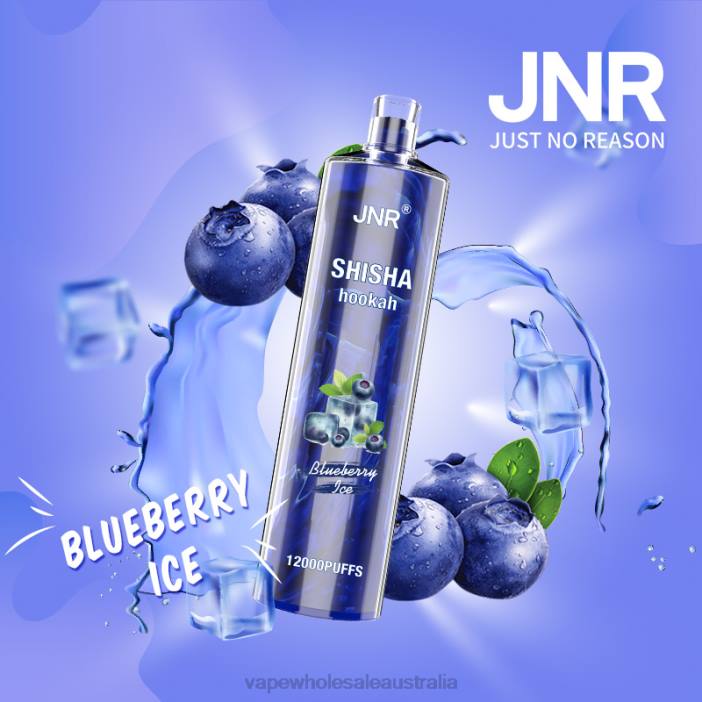 Blueberry Ice - e cig wholesale 4DF0R671 JNR SHISHA