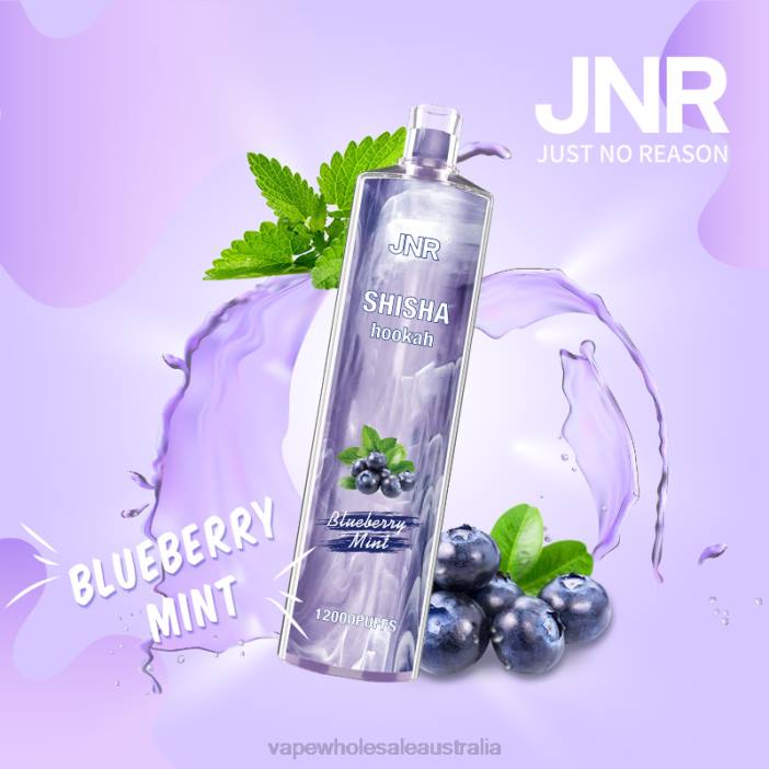 Blueberry Mint - vape wholesale distributor 4DF0R672 JNR SHISHA