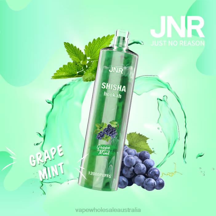 Grape Mint - vape wholesale global 4DF0R678 JNR SHISHA