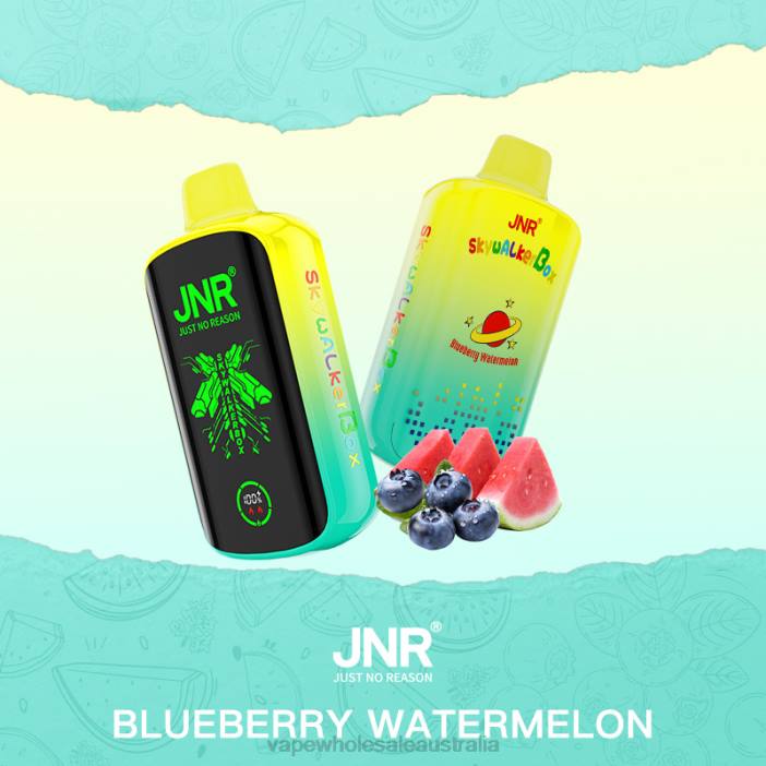 Blueberry Watermelon - vape wholesale supplier 4DF0R586 JNR SKYWALKER BOX