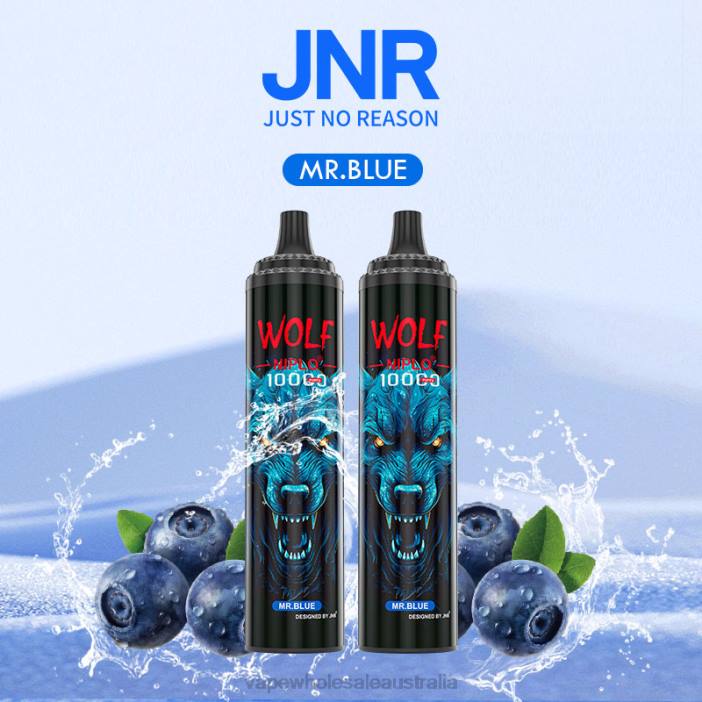 Mr.Blue - vape wholesale supplier 4DF0R766 JNR WOLF NIPLO