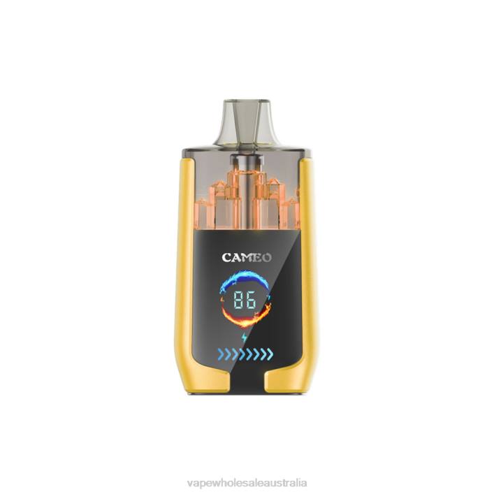 Vape Wholesale Australia - Mango Ice LAVIE CAMEO 30000 Puffs 8L8X21