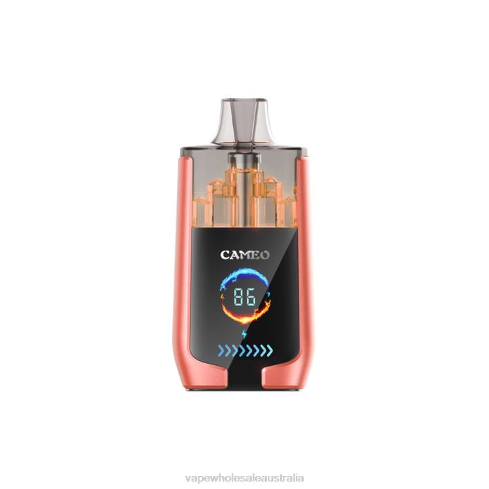 Vape Wholesale Supplier - Strawberry Watermelon LAVIE CAMEO 30000 Puffs 8L8X24