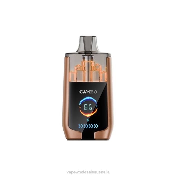 Vaping Supplies Online - Coffee Ice LAVIE CAMEO 30000 Puffs 8L8X18