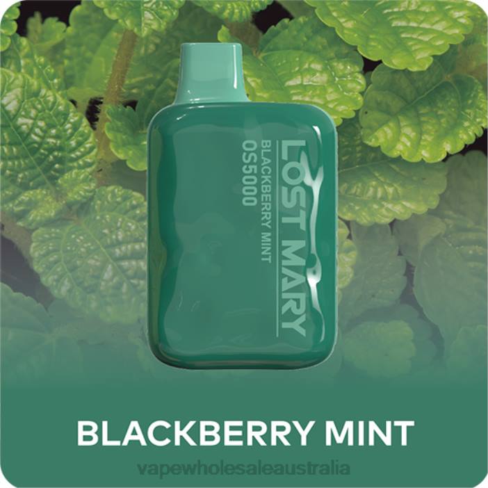 Blackberry Mint - vape wholesale Sydney 4DF0R485 LOST MARY OS5000