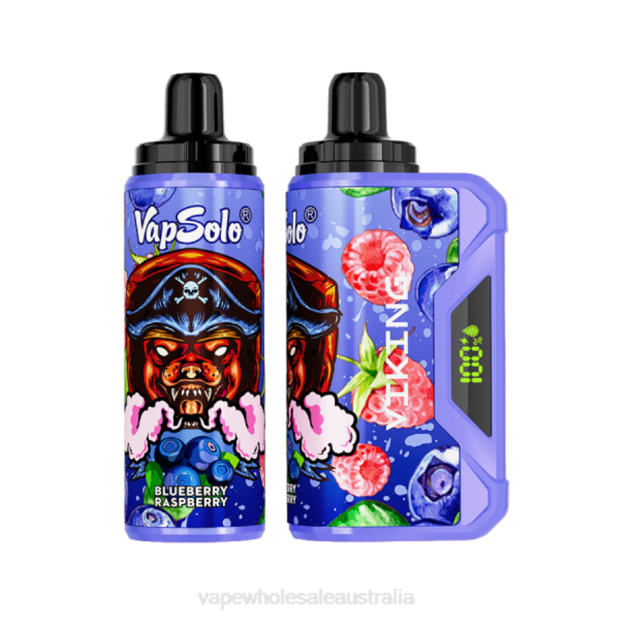 Vaping Supplies Online - Vapsolo VIKING Disposable Vape Blueberry Raspberry BZ4LD4132