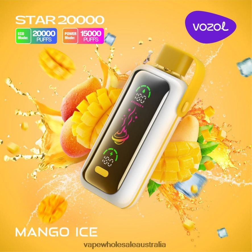 Electronic Cigarette Wholesale - MANGO ICE VOZOL STAR 20000 04V6D413