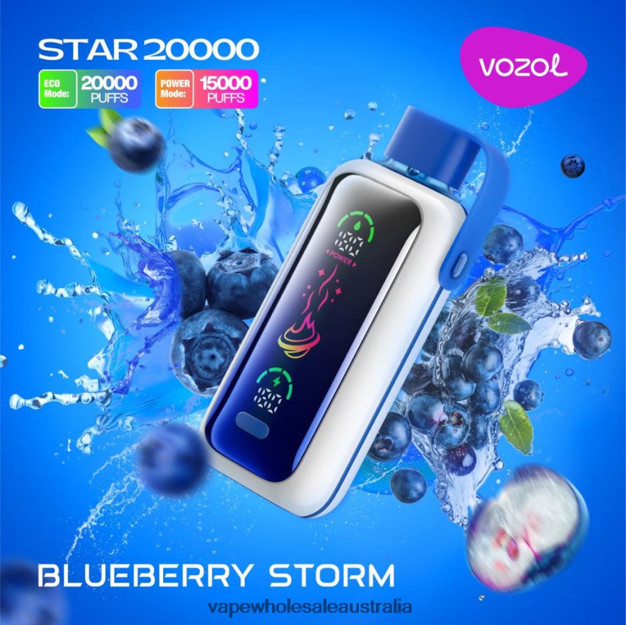 Vape Wholesale Supplier - BLUEBERRY STORM VOZOL STAR 20000 04V6D45