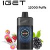IGET ONE – CHUPA CHUPS BLACKBERRY – 12000 PUFFS import placeholder for 40196
