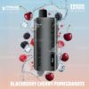 HQD Cuvie Slick Plus 12000 Puffs Blackberry Cherry Pomegranate import placeholder for 1568