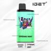 IGET Bar Pro 10000 Puffs Dynamic Mint import placeholder for 3203
