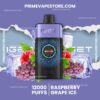 Iget One 12000 Puffs Raspberry Grape Ice import placeholder for 1526