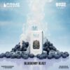 KUZ LUX 9000 Puffs Blueberry Blast import placeholder for 1411