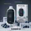 Tomoro 15000 Puffs Blueberry Ice import placeholder for 5819