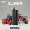 ZLOADR V9000 Puffs Raspberry Grape import placeholder for 4517