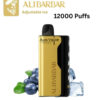 ALIBARBAR ICE ADJUST – BLUEBERRY BLAST – 12000 PUFFS import placeholder for 19724